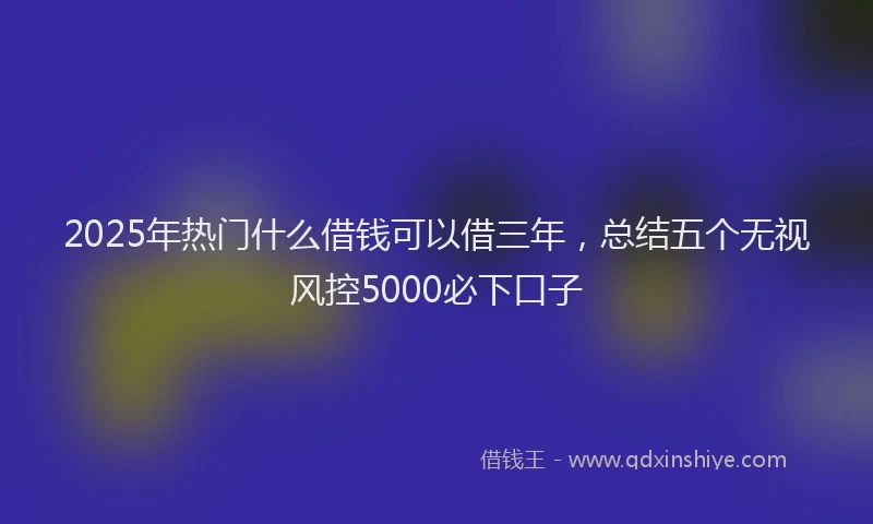 2025年热门什么借钱可以借三年，总结五个无视风控5000必下口子