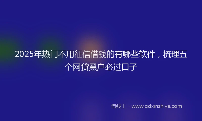 2025年热门不用征信借钱的有哪些软件，梳理五个网贷黑户必过口子