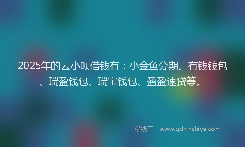 2025年的云小呗借钱有：小金鱼分期、有钱钱包、瑞盈钱包、瑞宝钱包、盈盈速贷等。