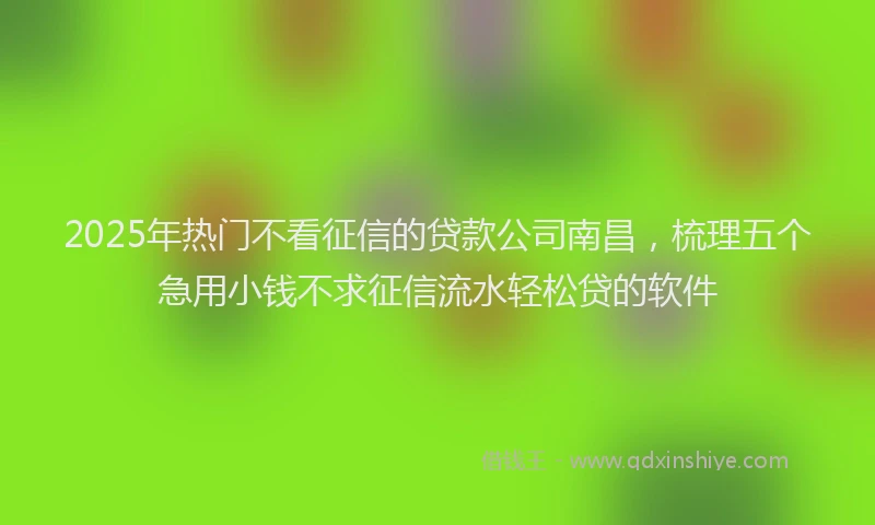 2025年热门不看征信的贷款公司南昌，梳理五个急用小钱不求征信流水轻松贷的软件