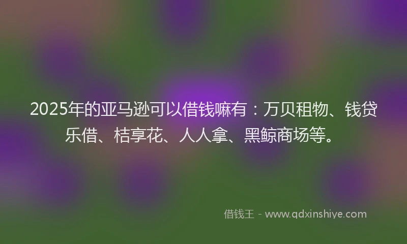 2025年的亚马逊可以借钱嘛有：万贝租物、钱贷乐借、桔享花、人人拿、黑鲸商场等。