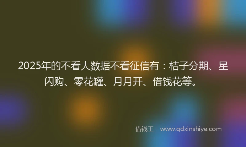 2025年的不看大数据不看征信有：桔子分期、星闪购、零花罐、月月开、借钱花等。