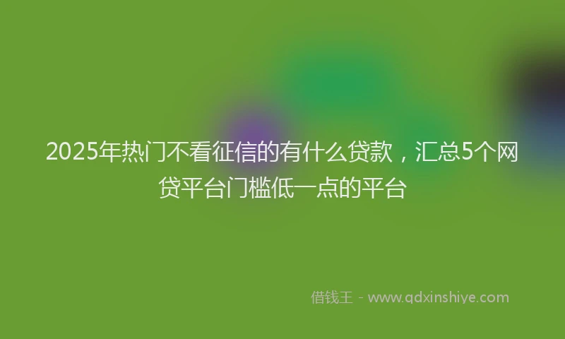 2025年热门不看征信的有什么贷款，汇总5个网贷平台门槛低一点的平台