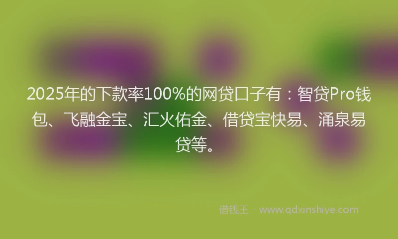 2025年的下款率100%的网贷口子有：智贷Pro钱包、飞融金宝、汇火佑金、借贷宝快易、涌泉易贷等。