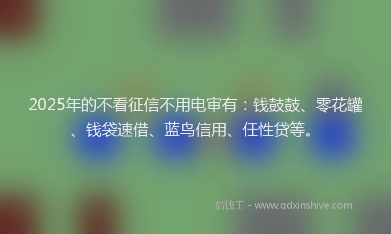 2025年的不看征信不用电审有：钱鼓鼓、零花罐、钱袋速借、蓝鸟信用、任性贷等。