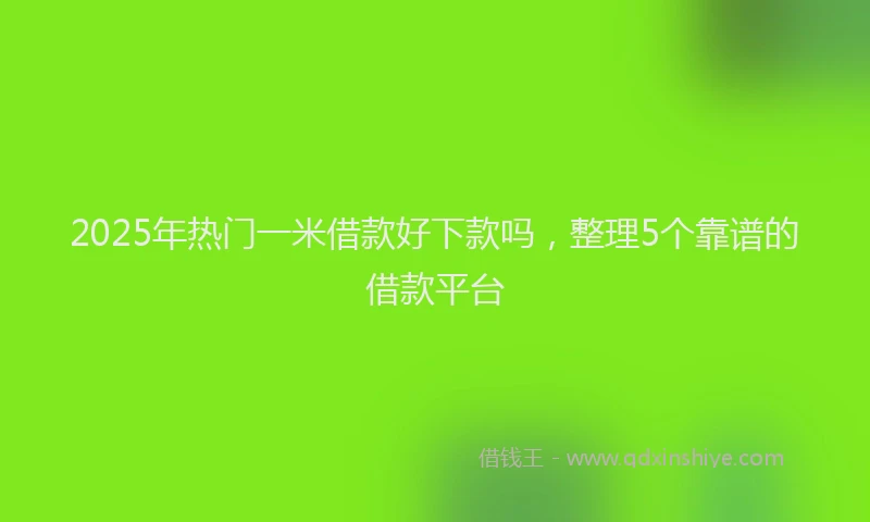 2025年热门一米借款好下款吗，整理5个靠谱的借款平台