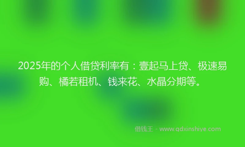 2025年的个人借贷利率有：壹起马上贷、极速易购、橘若租机、钱来花、水晶分期等。