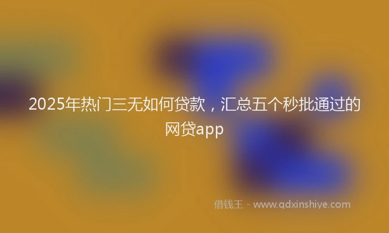 2025年热门三无如何贷款，汇总五个秒批通过的网贷app