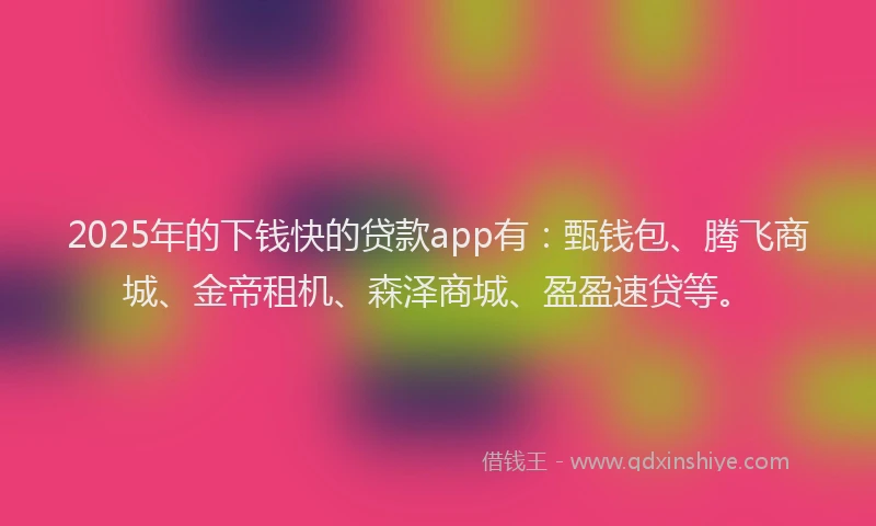 2025年的下钱快的贷款app有：甄钱包、腾飞商城、金帝租机、森泽商城、盈盈速贷等。