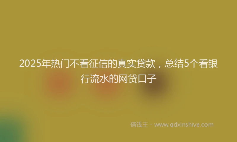 2025年热门不看征信的真实贷款，总结5个看银行流水的网贷口子