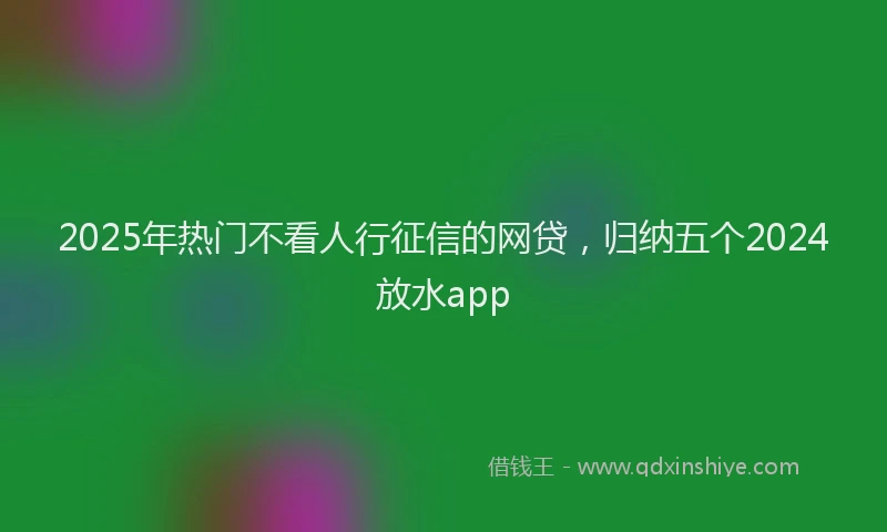 2025年热门不看人行征信的网贷，归纳五个2024放水app