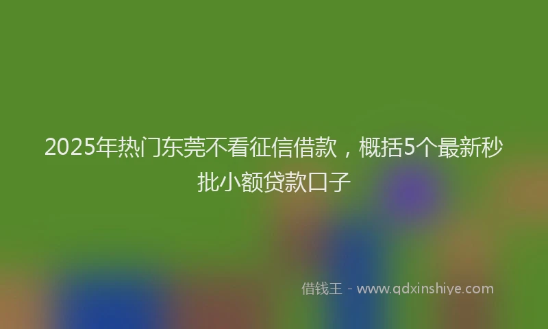 2025年热门东莞不看征信借款，概括5个最新秒批小额贷款口子