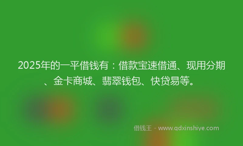 2025年的一平借钱有：借款宝速借通、现用分期、金卡商城、翡翠钱包、快贷易等。