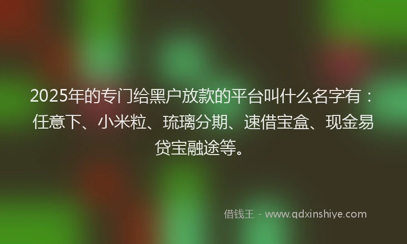 2025年的专门给黑户放款的平台叫什么名字有：任意下、小米粒、琉璃分期、速借宝盒、现金易贷宝融途等。