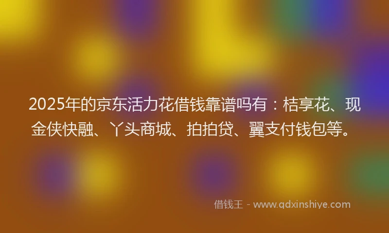 2025年的京东活力花借钱靠谱吗有：桔享花、现金侠快融、丫头商城、拍拍贷、翼支付钱包等。
