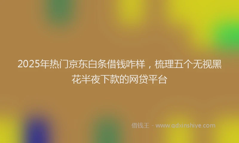 2025年热门京东白条借钱咋样，梳理五个无视黑花半夜下款的网贷平台