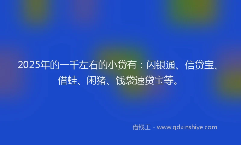 2025年的一千左右的小贷有：闪银通、信贷宝、借蛙、闲猪、钱袋速贷宝等。
