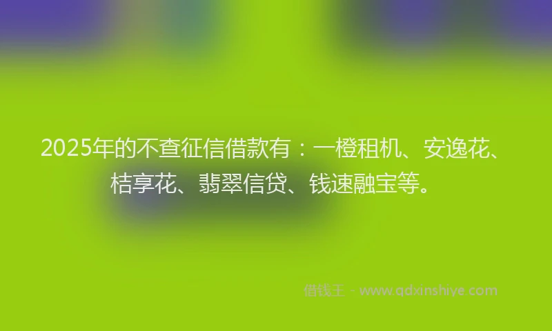 2025年的不查征信借款有：一橙租机、安逸花、桔享花、翡翠信贷、钱速融宝等。
