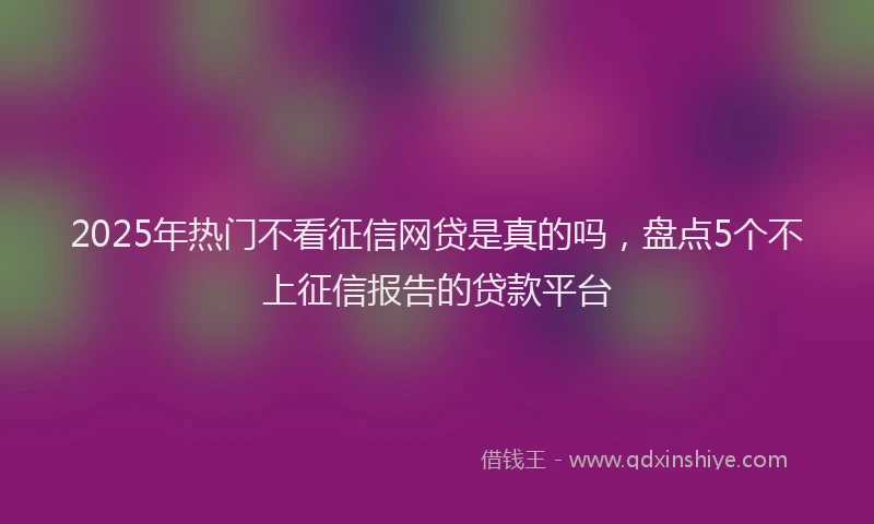 2025年热门不看征信网贷是真的吗，盘点5个不上征信报告的贷款平台