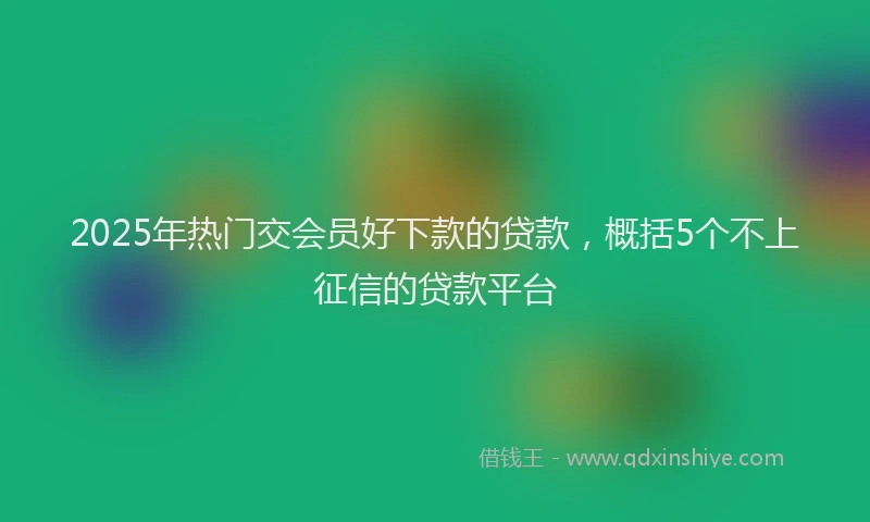 2025年热门交会员好下款的贷款，概括5个不上征信的贷款平台