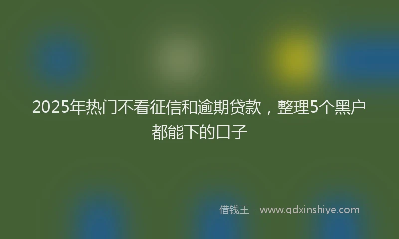 2025年热门不看征信和逾期贷款，整理5个黑户都能下的口子