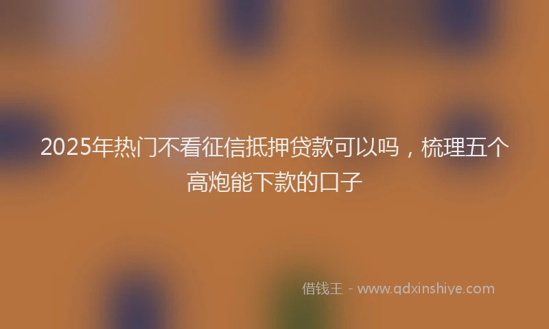 2025年热门不看征信抵押贷款可以吗，梳理五个高炮能下款的口子