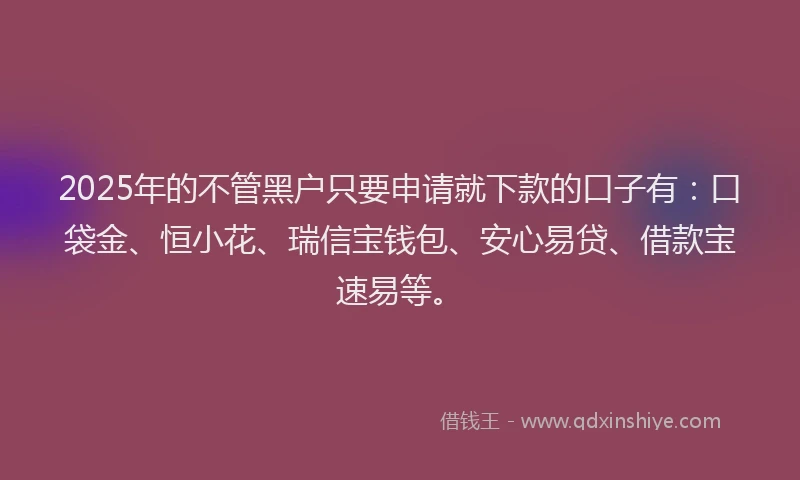 2025年的不管黑户只要申请就下款的口子有：口袋金、恒小花、瑞信宝钱包、安心易贷、借款宝速易等。