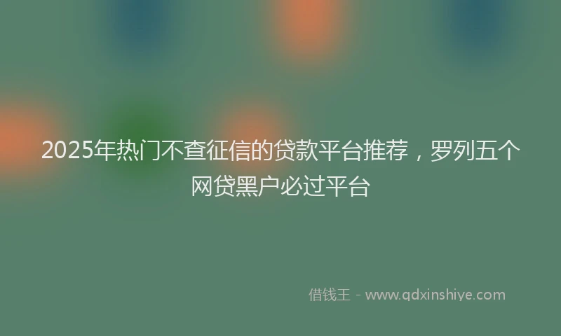 2025年热门不查征信的贷款平台推荐，罗列五个网贷黑户必过平台