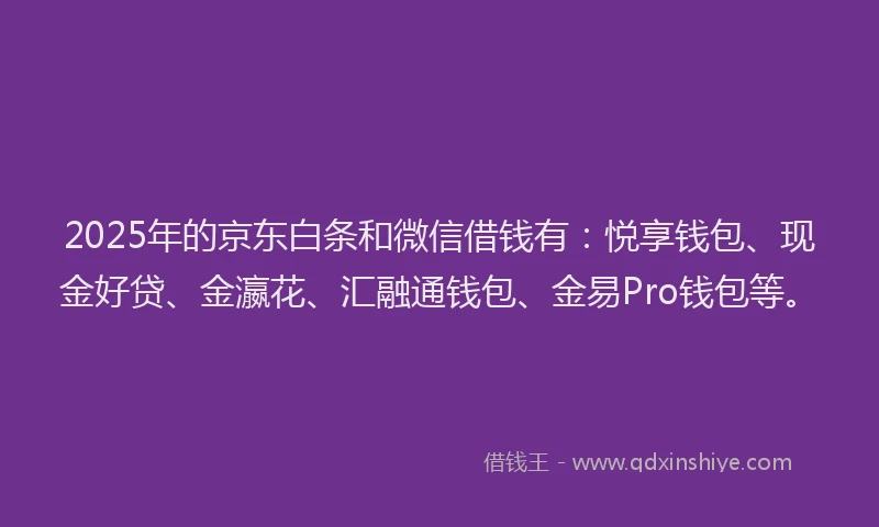 2025年的京东白条和微信借钱有：悦享钱包、现金好贷、金瀛花、汇融通钱包、金易Pro钱包等。