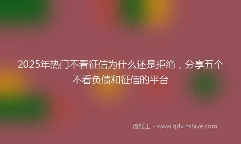 2025年热门不看征信为什么还是拒绝，分享五个不看负债和征信的平台