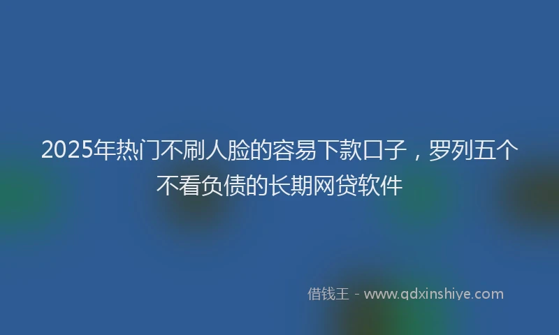 2025年热门不刷人脸的容易下款口子，罗列五个不看负债的长期网贷软件