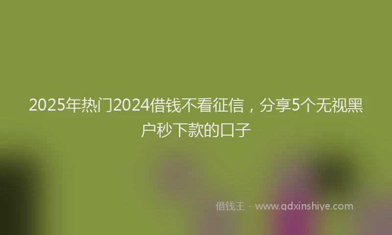 2025年热门2024借钱不看征信，分享5个无视黑户秒下款的口子