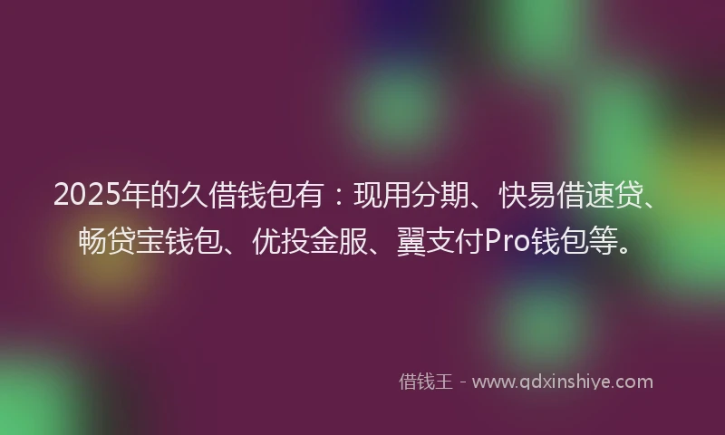 2025年的久借钱包有：现用分期、快易借速贷、畅贷宝钱包、优投金服、翼支付Pro钱包等。