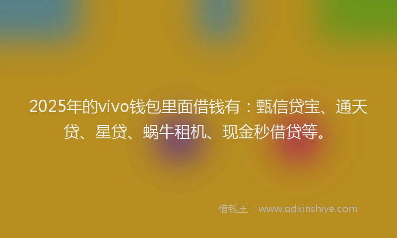 2025年的vivo钱包里面借钱有：甄信贷宝、通天贷、星贷、蜗牛租机、现金秒借贷等。