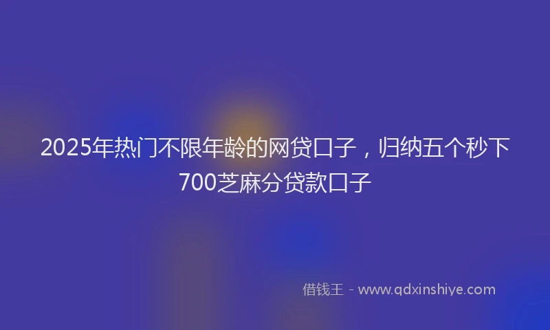 2025年热门不限年龄的网贷口子，归纳五个秒下700芝麻分贷款口子