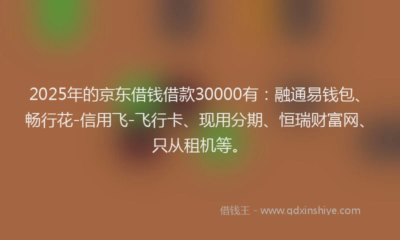 2025年的京东借钱借款30000有：融通易钱包、畅行花-信用飞-飞行卡、现用分期、恒瑞财富网、只从租机等。