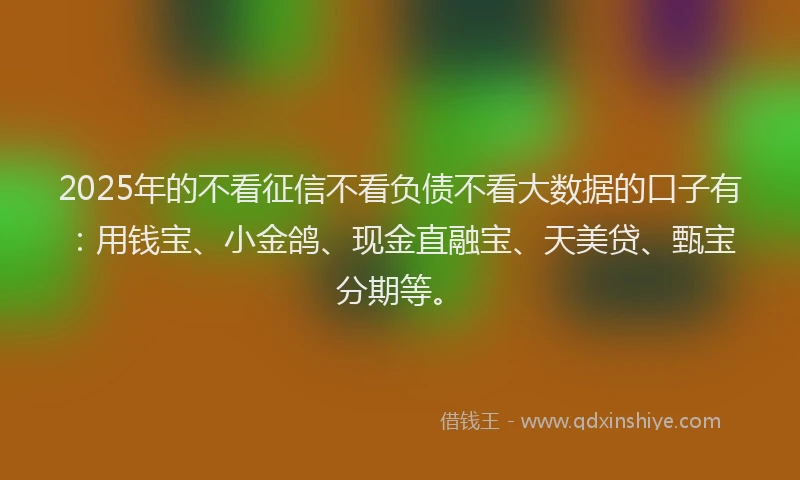 2025年的不看征信不看负债不看大数据的口子有：用钱宝、小金鸽、现金直融宝、天美贷、甄宝分期等。