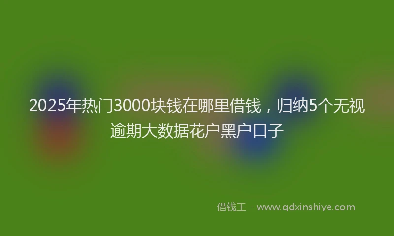 2025年热门3000块钱在哪里借钱，归纳5个无视逾期大数据花户黑户口子