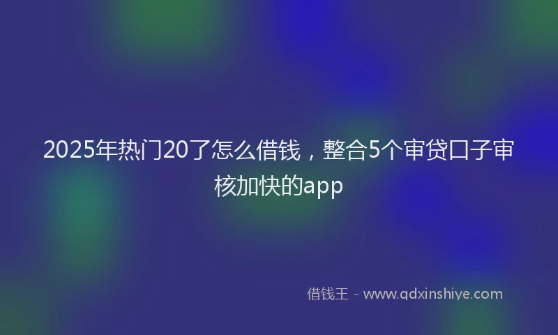 2025年热门20了怎么借钱，整合5个审贷口子审核加快的app