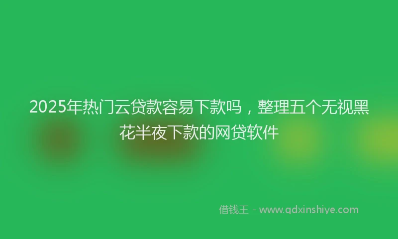 2025年热门云贷款容易下款吗，整理五个无视黑花半夜下款的网贷软件