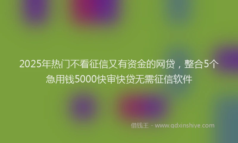 2025年热门不看征信又有资金的网贷，整合5个急用钱5000快审快贷无需征信软件