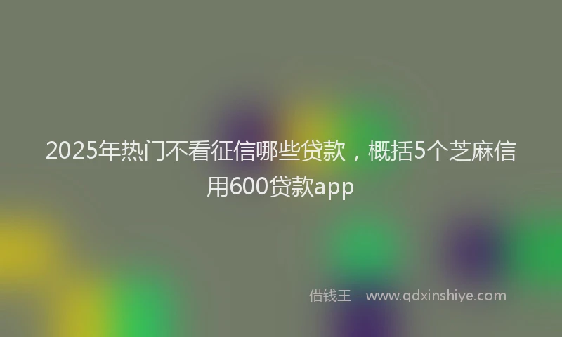 2025年热门不看征信哪些贷款，概括5个芝麻信用600贷款app