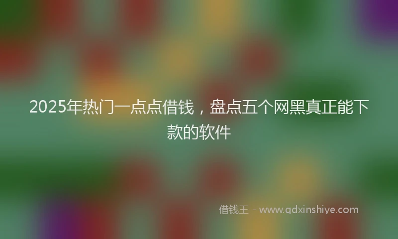2025年热门一点点借钱，盘点五个网黑真正能下款的软件