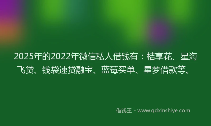 2025年的2022年微信私人借钱有：桔享花、星海飞贷、钱袋速贷融宝、蓝莓买单、星梦借款等。