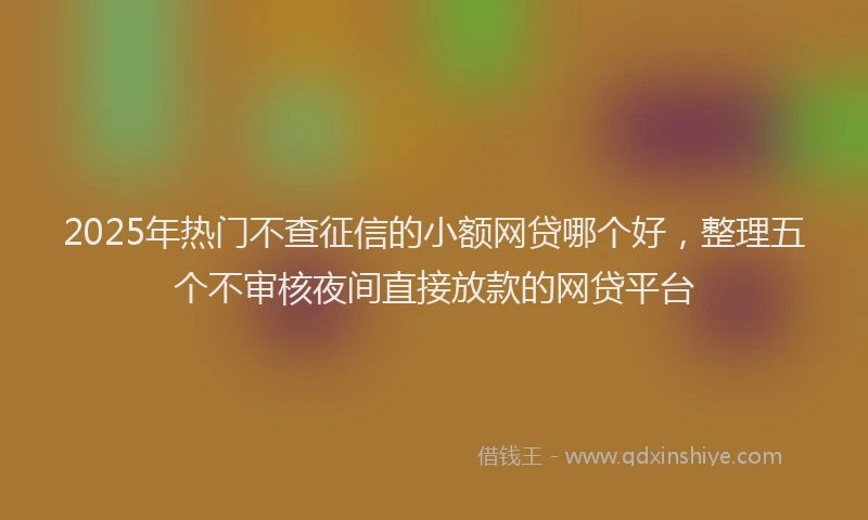 2025年热门不查征信的小额网贷哪个好，整理五个不审核夜间直接放款的网贷平台