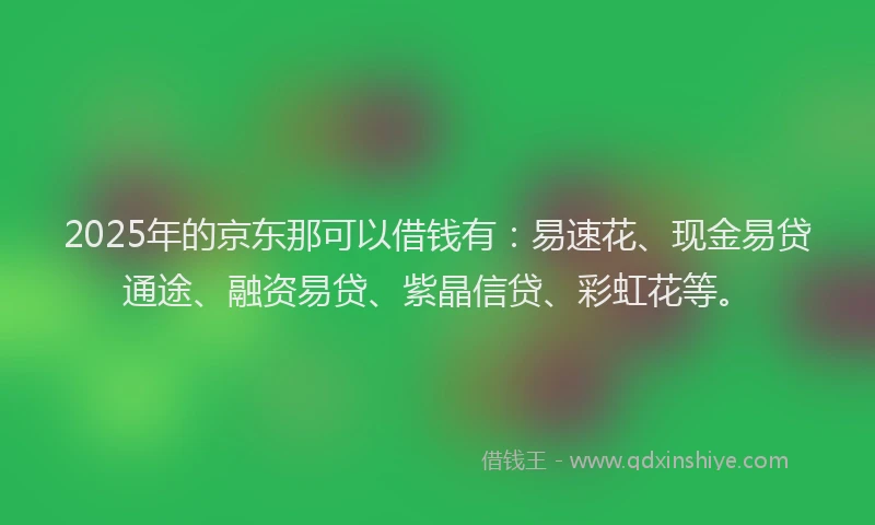 2025年的京东那可以借钱有：易速花、现金易贷通途、融资易贷、紫晶信贷、彩虹花等。