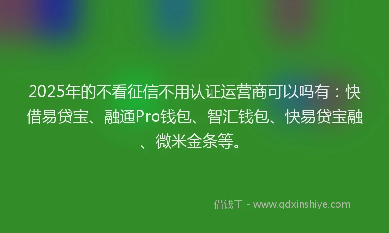 2025年的不看征信不用认证运营商可以吗有：快借易贷宝、融通Pro钱包、智汇钱包、快易贷宝融、微米金条等。