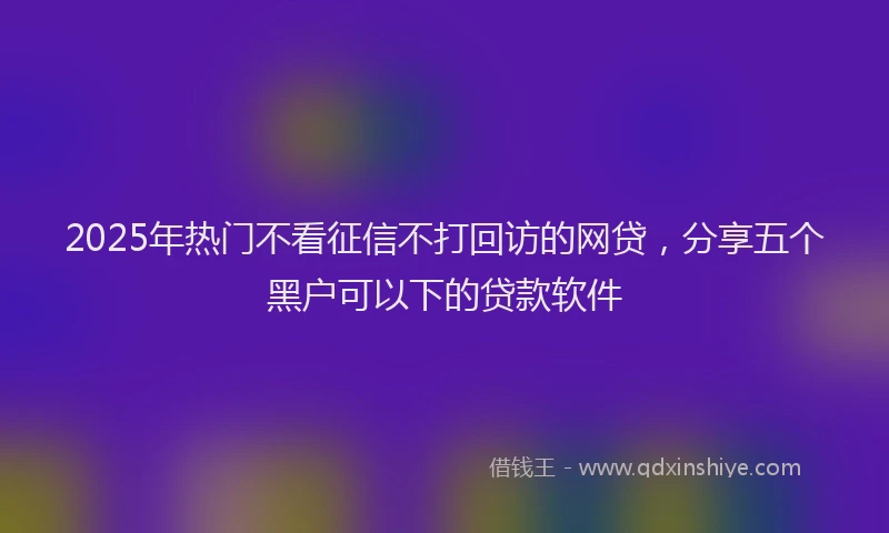 2025年热门不看征信不打回访的网贷，分享五个黑户可以下的贷款软件