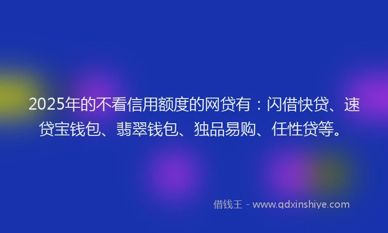 2025年的不看信用额度的网贷有：闪借快贷、速贷宝钱包、翡翠钱包、独品易购、任性贷等。
