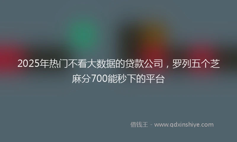 2025年热门不看大数据的贷款公司，罗列五个芝麻分700能秒下的平台